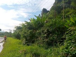 Penyimpangan Dana Padat Karya Dalam Proyek Pembangunan Ruas Anjungan-Karangan oleh dinas PUPR Balai Kal-bar Menimbulkan sorotan publik.