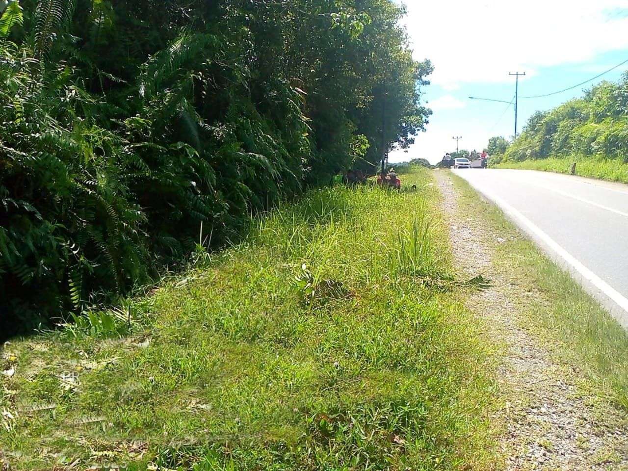 Penyimpangan Dana Padat Karya 