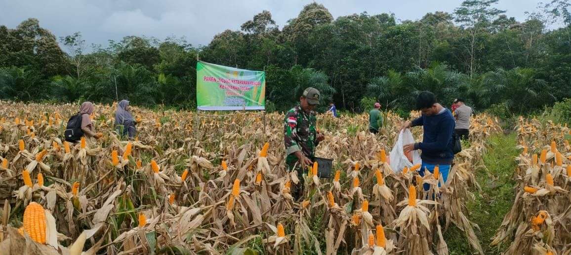 Babinsa Bersinergi Dengan Bhabinkamtibmas