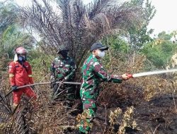 Cegah Meluas, Dandim 1209/Bengkayang Terjun Langsung Padamkan Api Karhutla