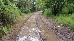 Akses Utama Warga Rusak Sejak Puluhan Tahun, Anak Sekolah Jadi Korban”