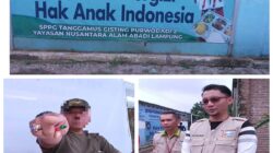 Viral! Oknum TNI AL Diduga Paksa Wartawan Hapus Video Sidak MBG Kabupaten Tanggamus