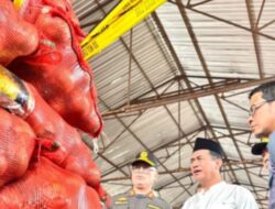 23 Ton Bawang Diduga Ilegal Terungkap di Pontianak, Pengusaha Desak Pengusutan Rantai Distribusi