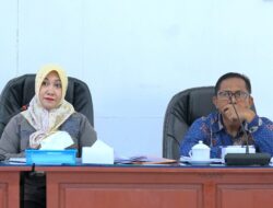 RSP Sandai Segera Beroperasi, DPRD Ketapang Soroti SDM dan Perizinan