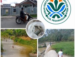 Publik Soroti Dugaan Lambannya Respons DLH Pesawaran terhadap Dugaan PETI Way Ratai