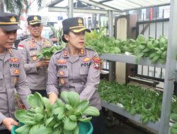 Polsek Meral Panen Raya Pakcoy, Wujudkan Lahan Produktif