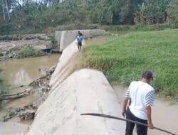 Maraknya Dugaan Aktivitas PETI, Ikan Mati Massal Kembali Terjadi di Way Ratai