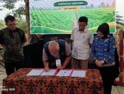 Fasilitasi Penguatan Jaringan Usaha KDKMP Komoditas Singkong Di Pringsewu Resmi Ditutup