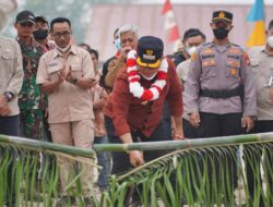 Bupati Ketapang Alexander Wilyo Resmikan Lisdes Harapan Baru, Pemerataan Listrik Dikebut