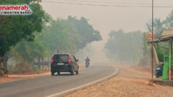 Kualitas Udara di Ketapang Memburuk Akibat Kabut Asap ,Bupati Alex Minta Warga Pakai Masker