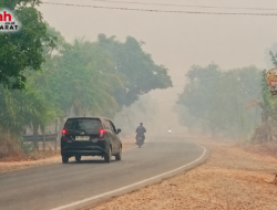 Kualitas Udara di Ketapang Memburuk Akibat Kabut Asap ,Bupati Alex Minta Warga Pakai Masker